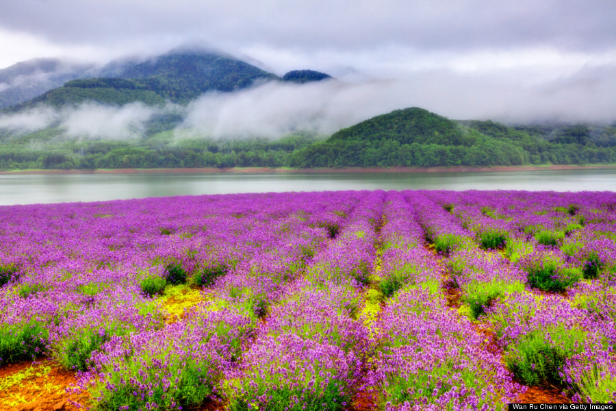 hokkaido