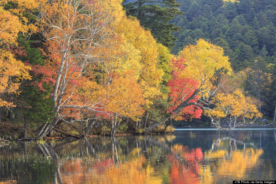 hokkaido autumn