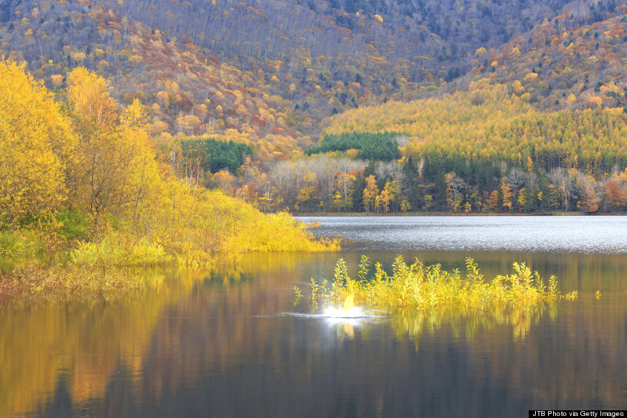 hokkaido autumn