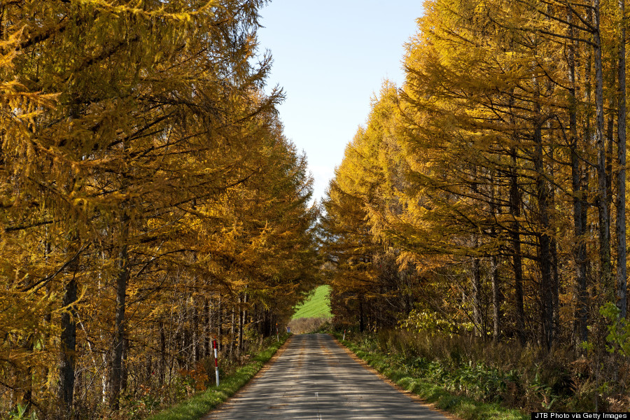 hokkaido autumn