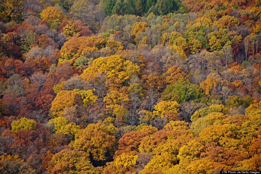 hokkaido autumn