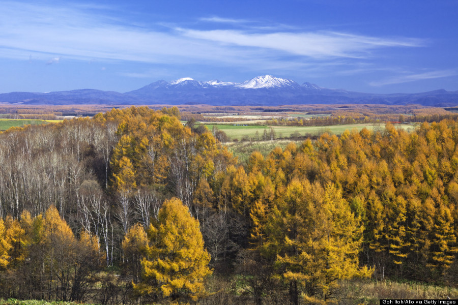 hokkaido autumn