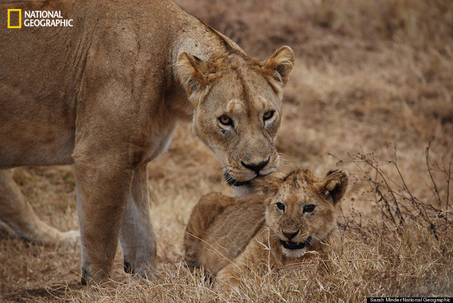 nat geo photo 10