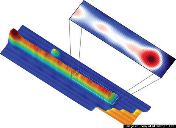 majorana particle