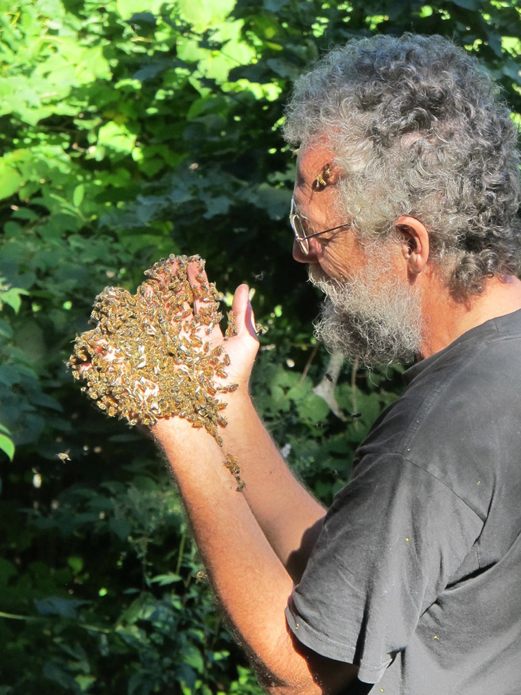 ladislav hanka with bees