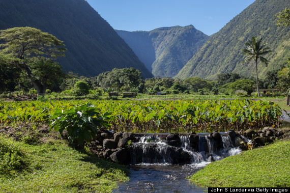 waipio valley