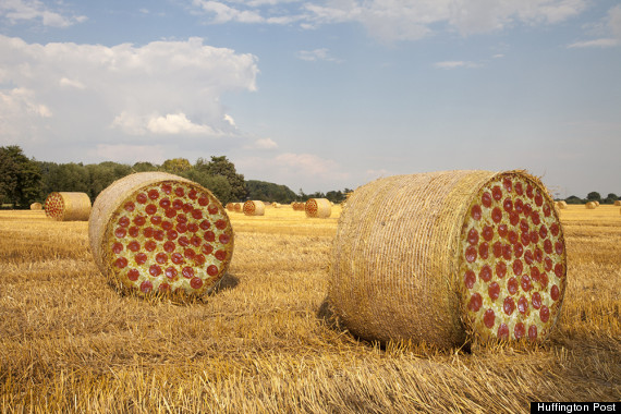 pizza farms