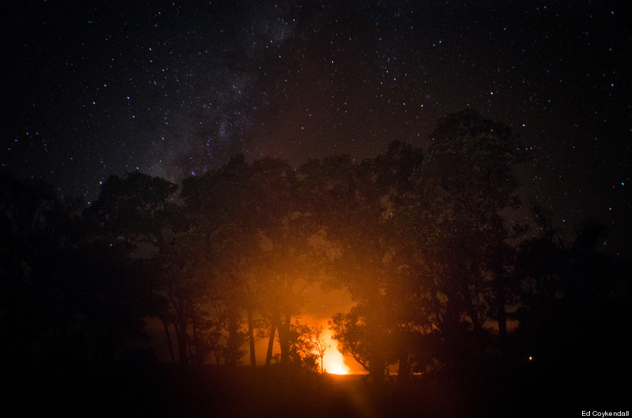 fire in trees stars