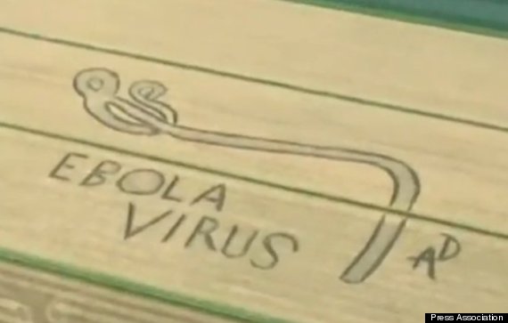 ebola virus crop circle