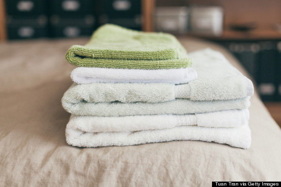 Your dish towels are full of bacteria—here's what you need to do
