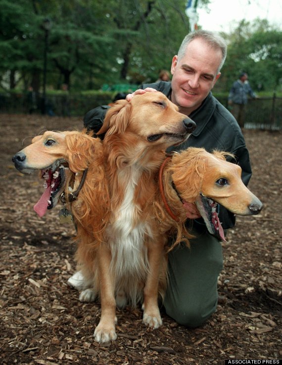 Scary Dog Costumes For Halloween