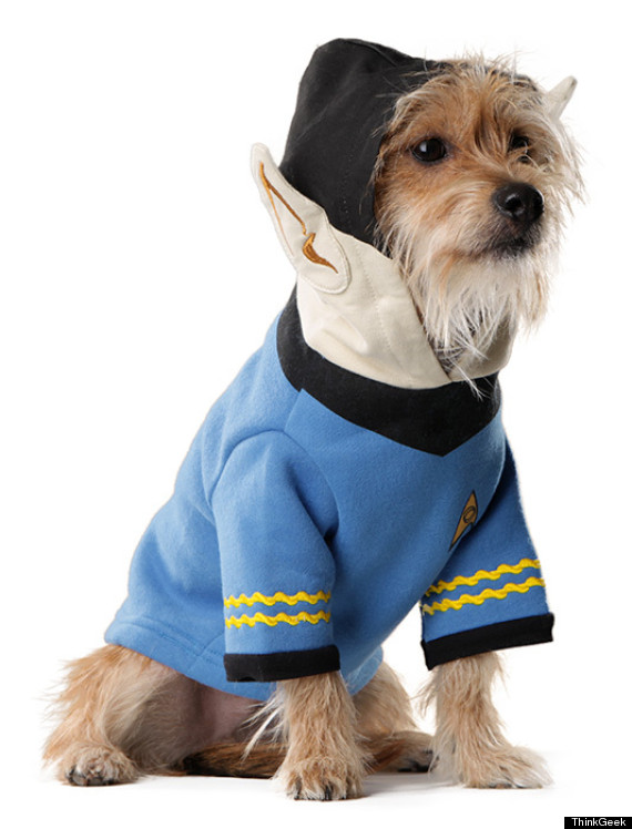 spock dog