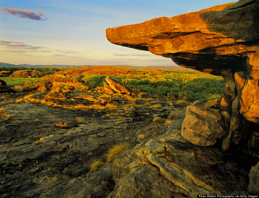 kakadu