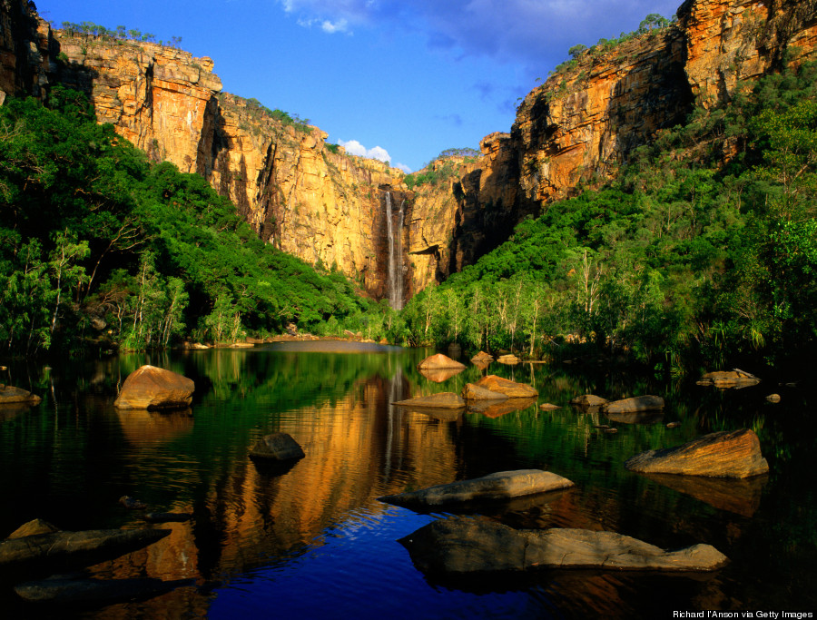 kakadu