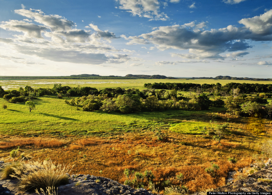 kakadu