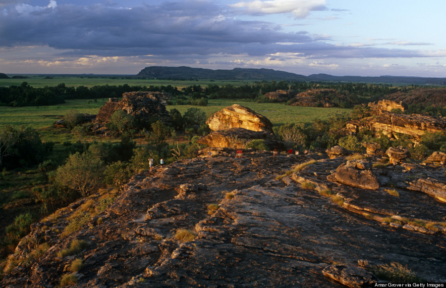 kakadu