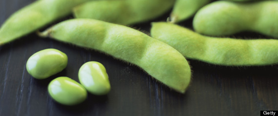 soybean