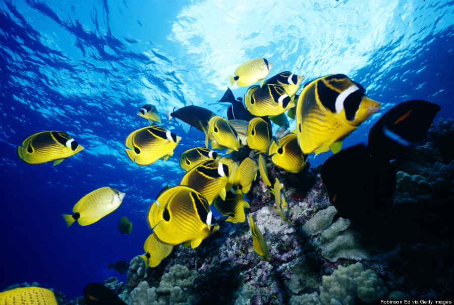 molokini water