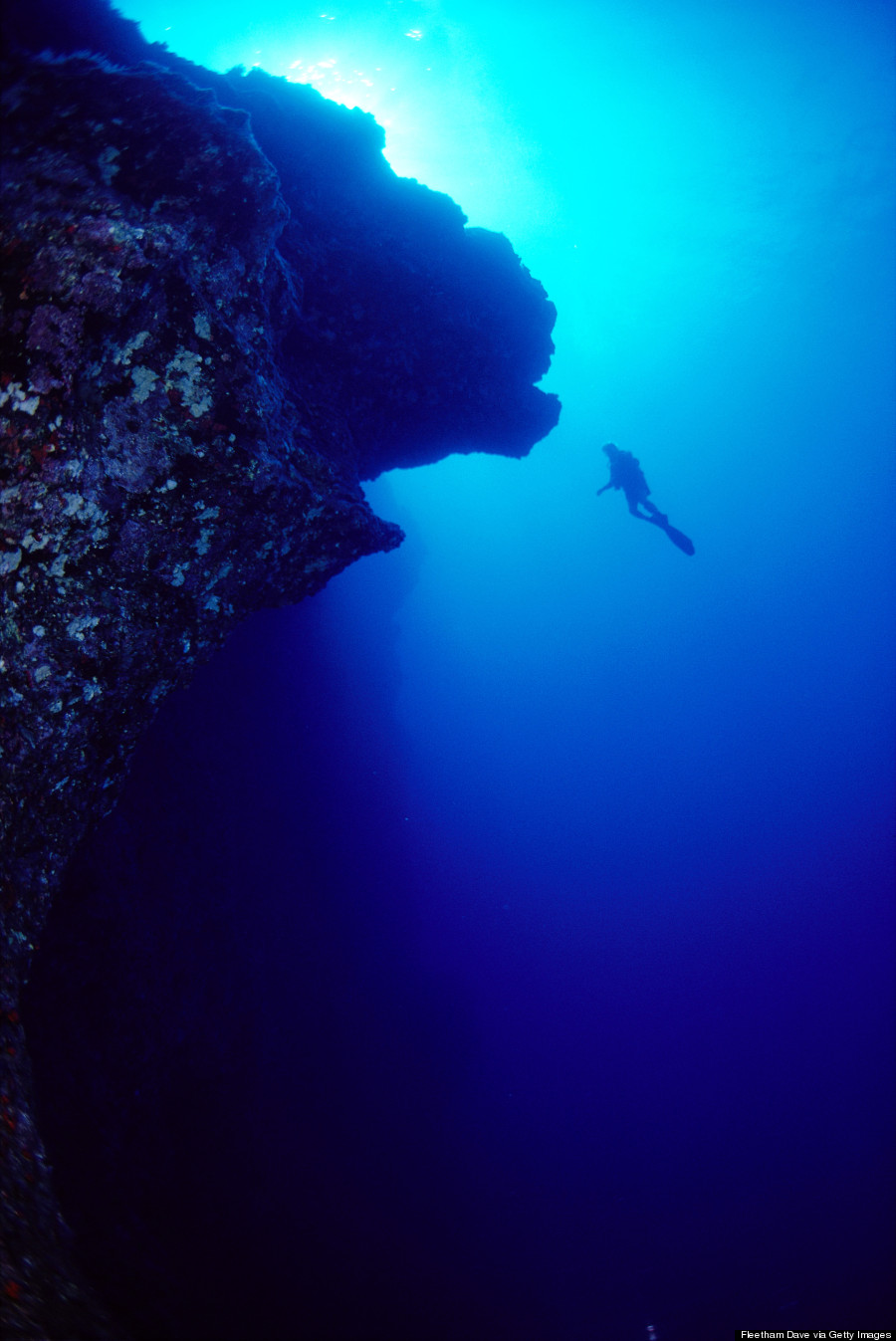 molokini scuba