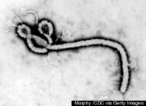 ebola