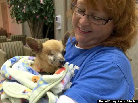 sick man reunited with dog