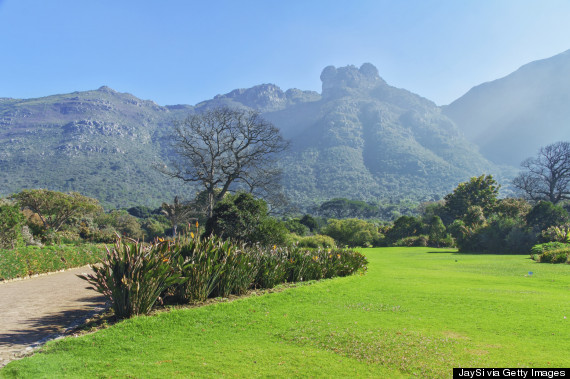 kirstenbosch national botanical garden