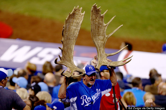 Kc royals store moose shirt