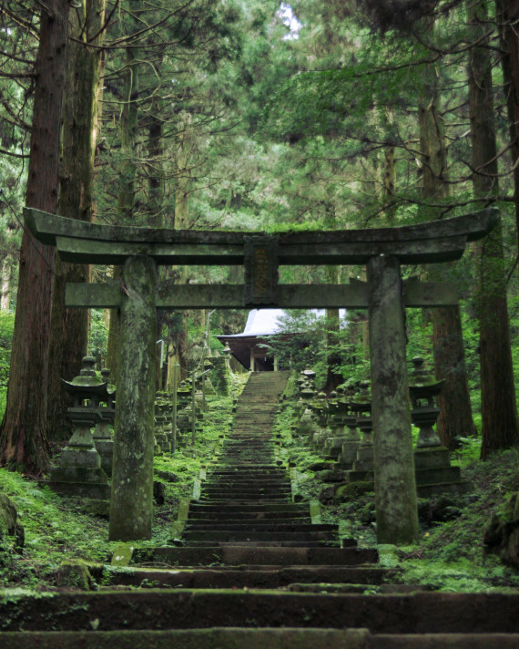 japanese forest shrine