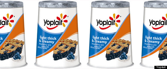 yoplait blueberry