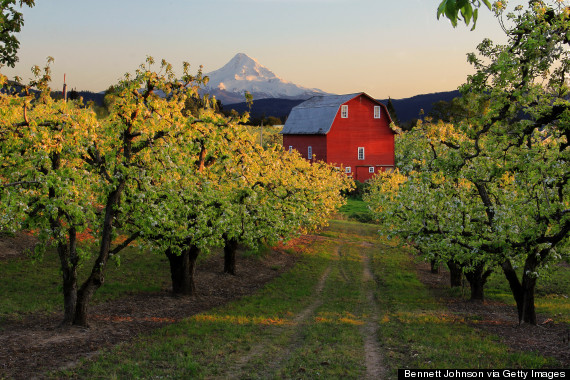 hood river oregon