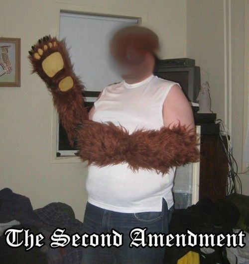 bear arms