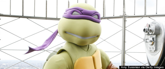 donatello ninja turtle
