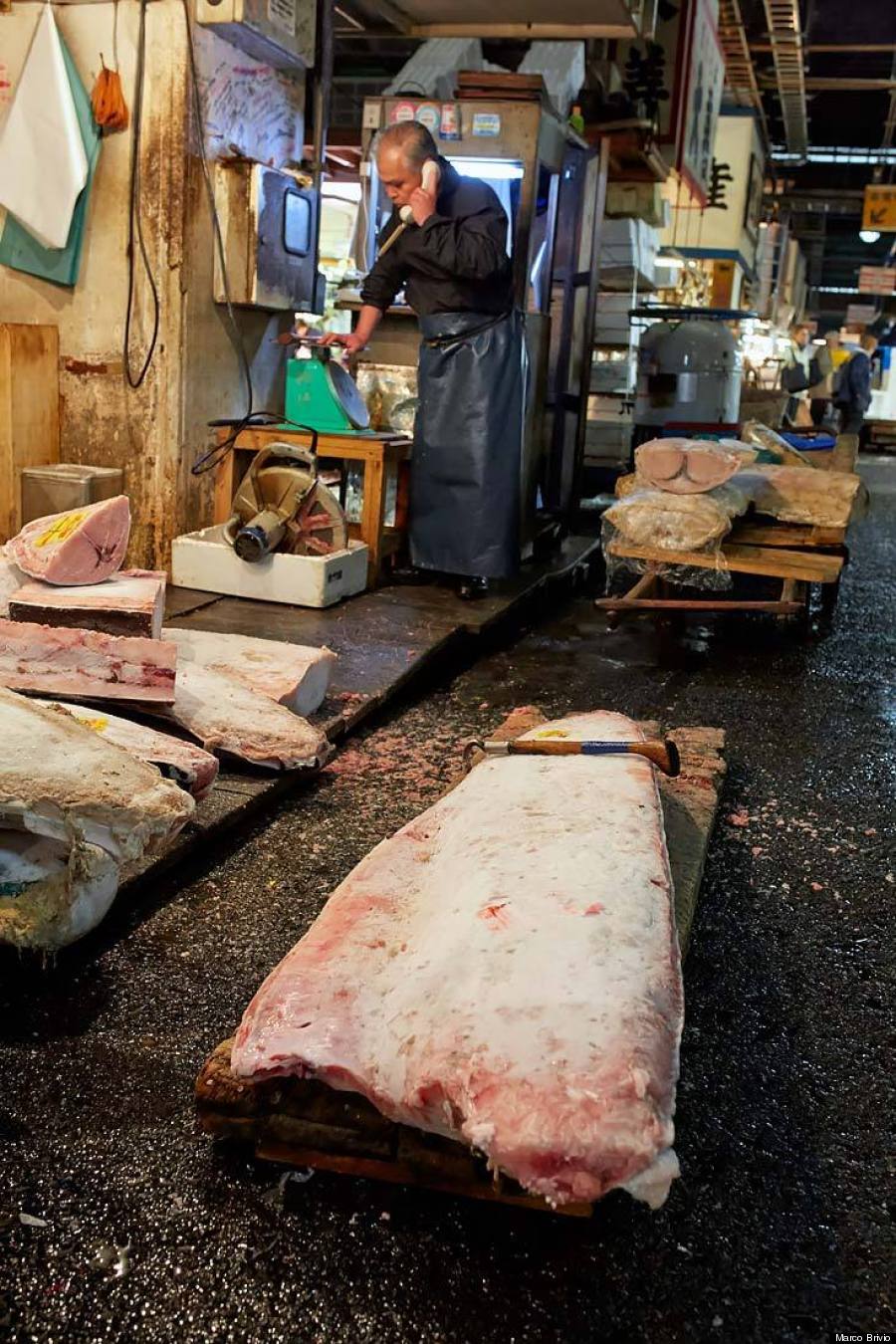 tsukiji fish market