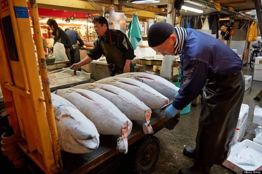 tsukiji fish market