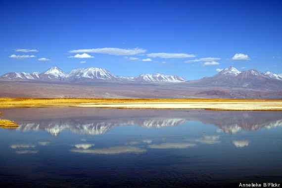 cejas laguna