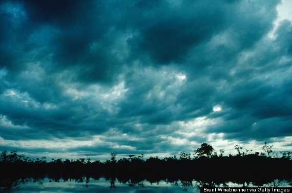 amazon jungle ecuador