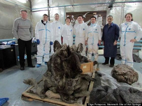 siberian mummy