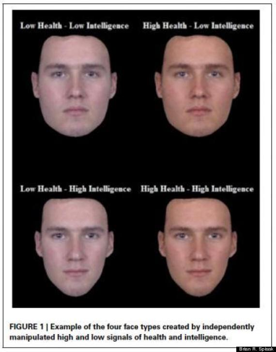 four face types