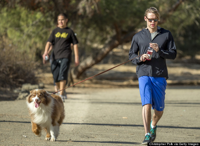 runyon canyon dog