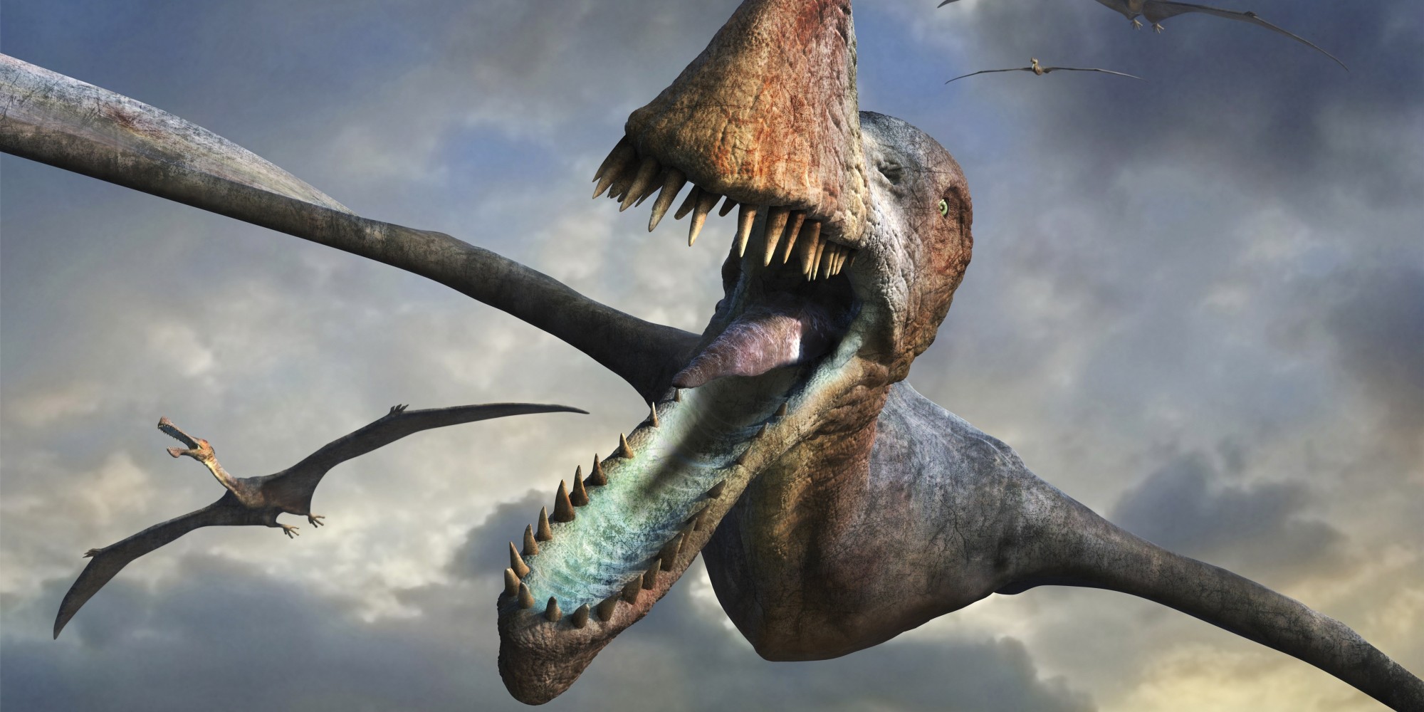 Flying Pterosaurs Were As Big As It Gets, Study Finds