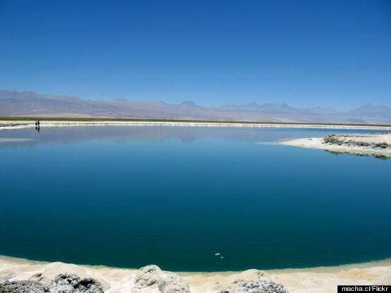 laguna cejar