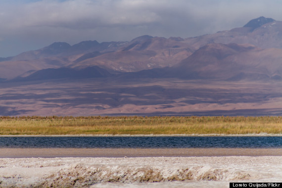 laguna cejar