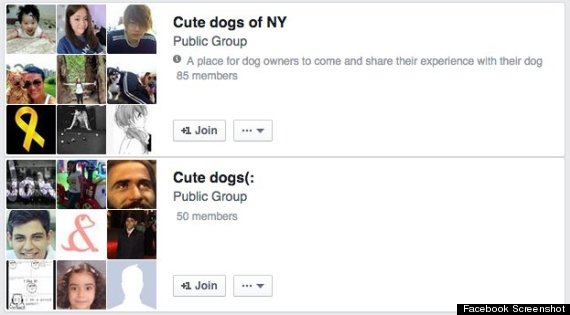 facebook groups