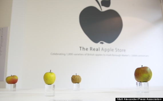 real apple store