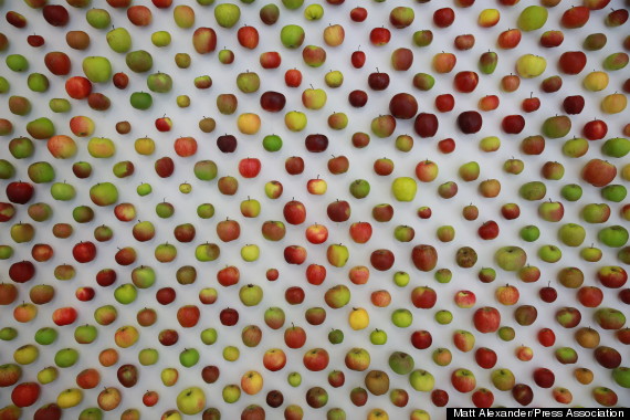 wall of apples