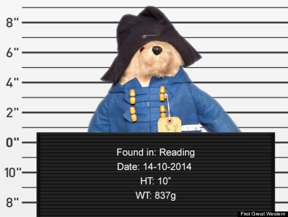 lost teddy bear mugshot