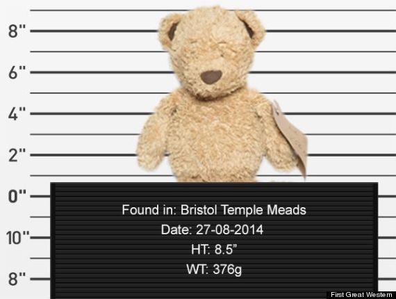 lost teddy bear mugshot