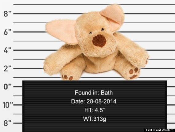 lost teddy bear mugshot
