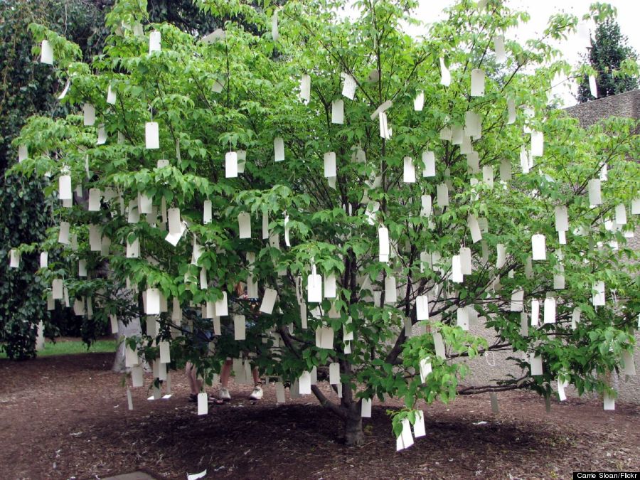 yoko ono wish tree