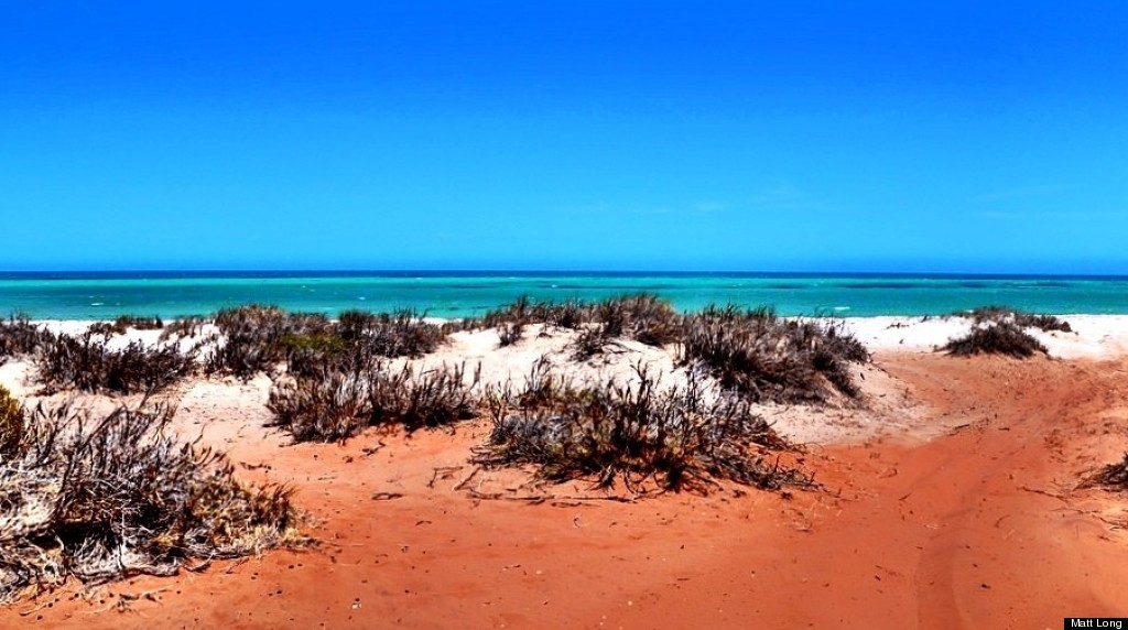 shark bay australia